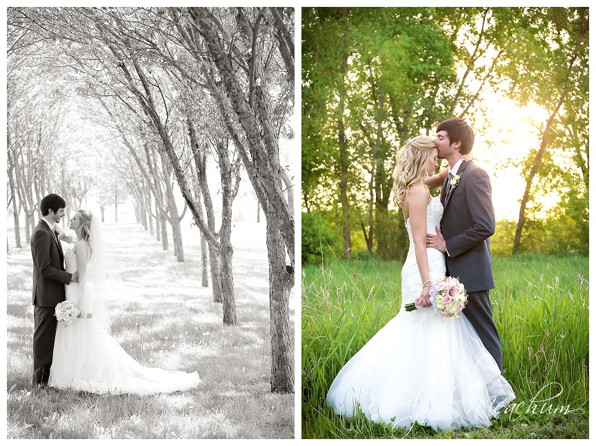 Wisconsin Wedding photos at Brandt Qurik Park