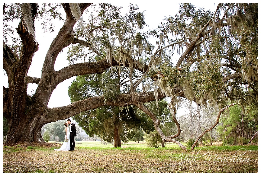 Middleburg Plantation Wedding