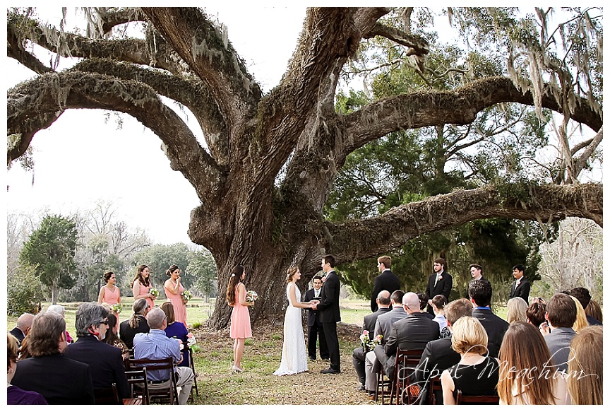 Middleburg Plantation Wedding