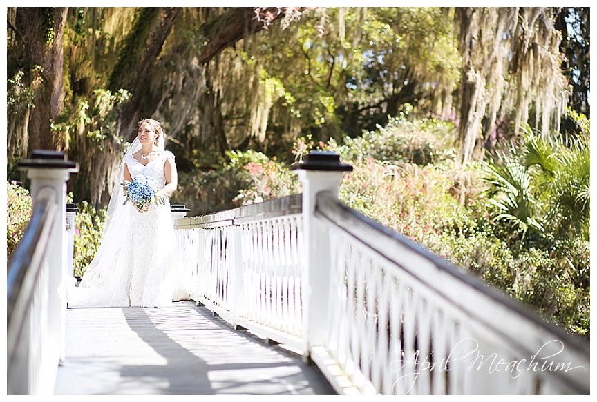 Charleston_Wedding_Magnolia_Plantation_April_Meachum_0020.jpg