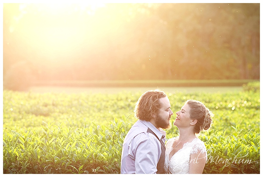 Charleston_Wedding_Tea_Plantation_April_Meachum_0015.jpg