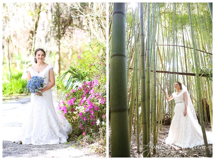 Charleston_Wedding_Tea_Plantation_April_Meachum_0018.jpg