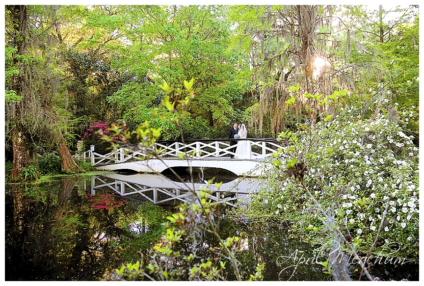 Charleston_Wedding_Magnolia_Plantation_April_Meachum_0058.jpg