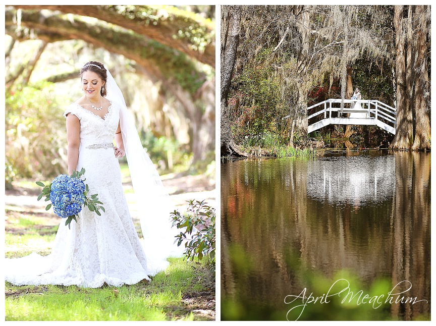 Magnolia Plantation wedding photography in Charleston