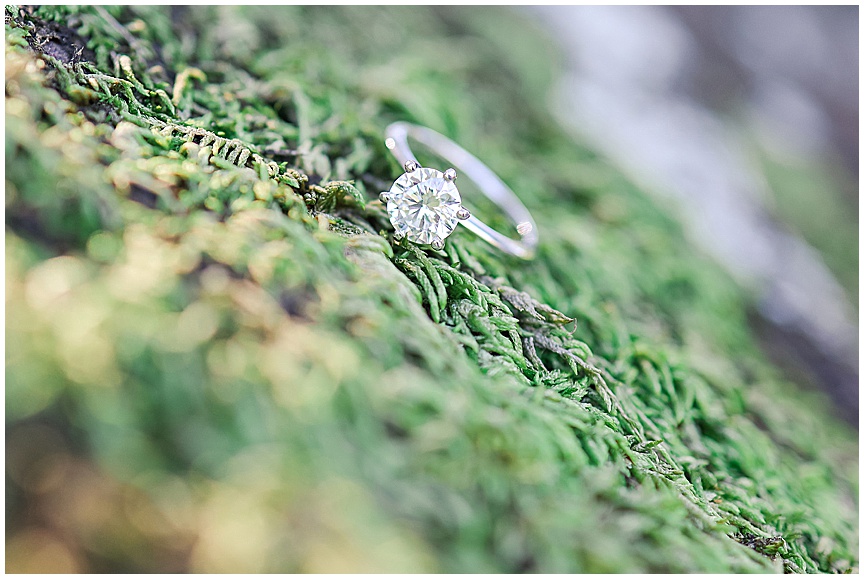 Boone Hall Plantation Proposal and Engagement Session by Charleston Wedding Photographer April Meachum_0678.jpg