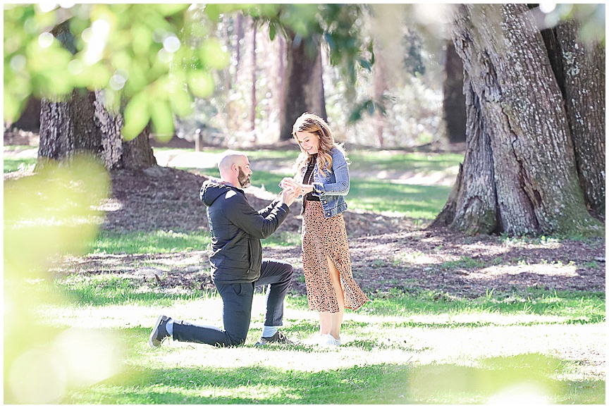 Boone Hall Plantation Proposal and Engagement Session in Charleston by April Meachum Photography_1118.jpg